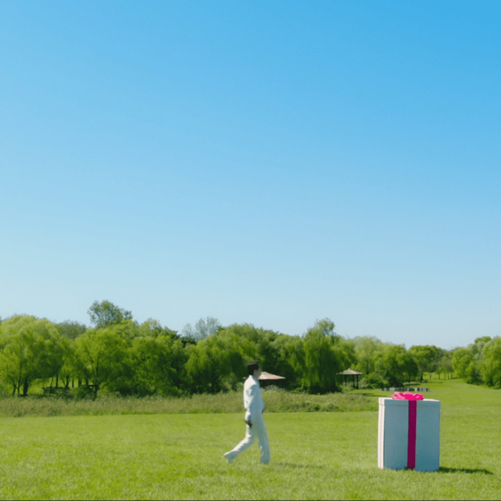 Heavenly Ever After: a person standing in a grassy field with a box