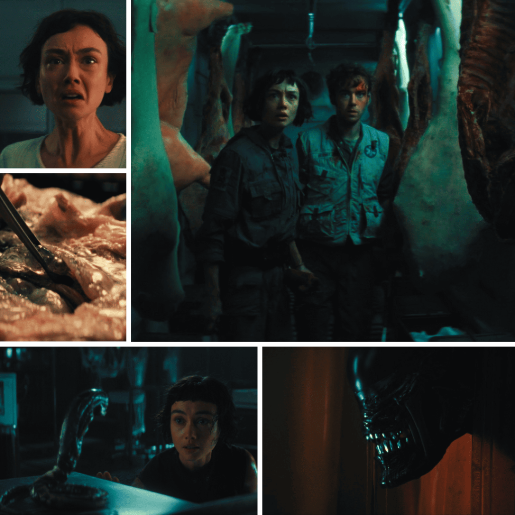 Alien Earth Midseason Review collage of Wendy, her brother, xenomorph, and baby xenomorph.
