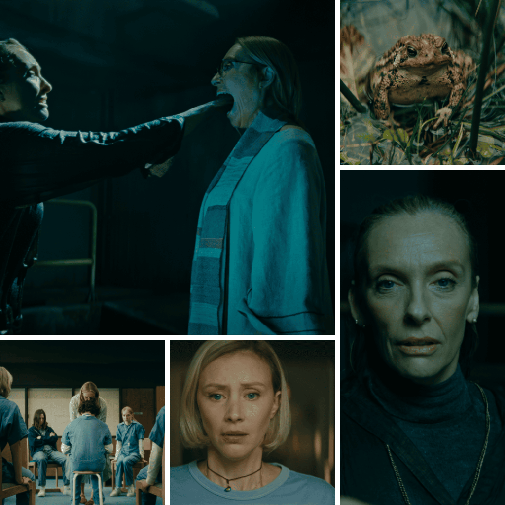 Collage featuring the Leap ritual, Laura, Evelyn, Toad, and the kids in the rage room, visual metaphors for fractured identity and forced transformation. | Wayward Netflix Review