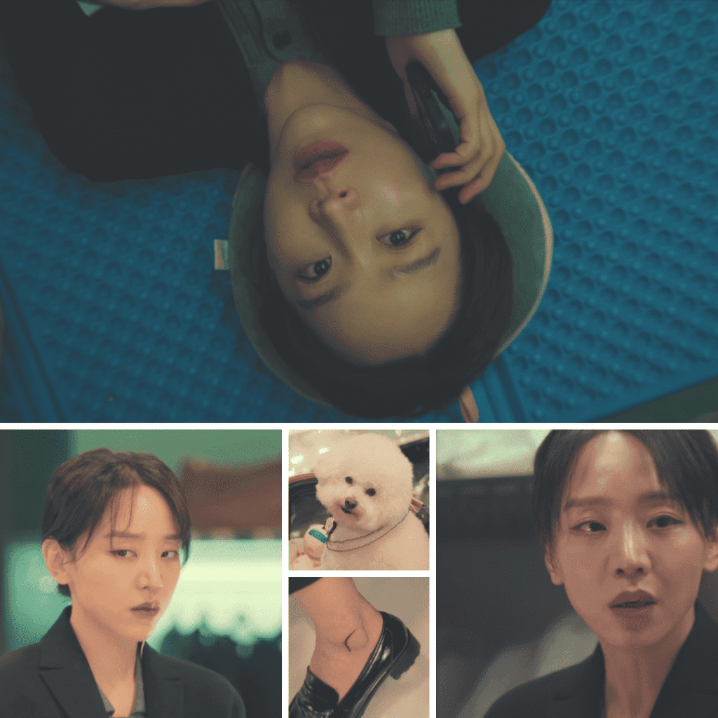 The Art of Sarah Review: A forensic collage showing Ga Mok-hui’s humble beginnings and retail hustle.