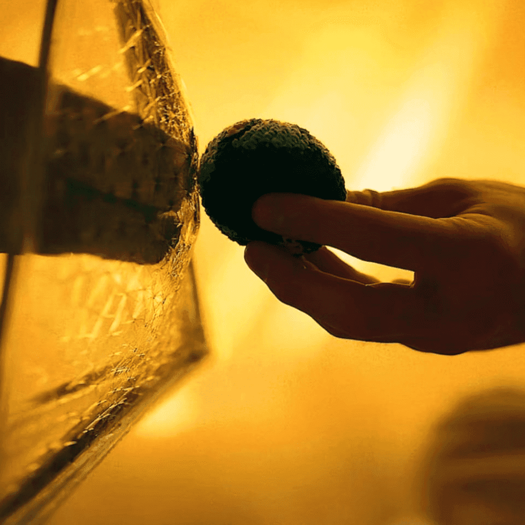 A poignant still from the Project Hail Mary Review of Ryland Grace holding up a small bean bag of Earth to Rocky, who is in his bubble, against a warm yellow background.